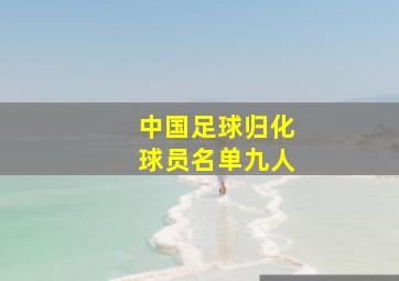 中国足球归化球员名单九人