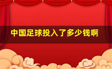 中国足球投入了多少钱啊