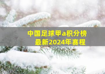 中国足球甲a积分榜最新2024年赛程