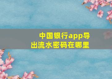 中国银行app导出流水密码在哪里