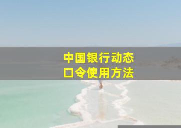 中国银行动态口令使用方法