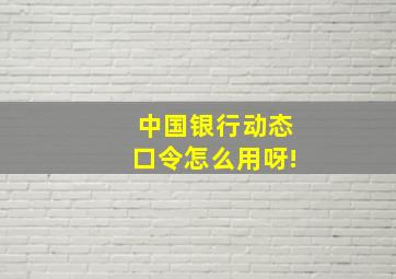 中国银行动态口令怎么用呀!