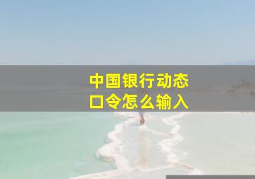 中国银行动态口令怎么输入