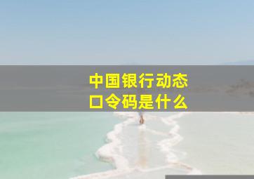 中国银行动态口令码是什么