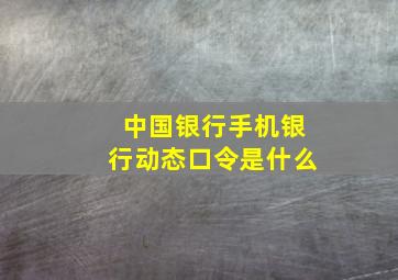 中国银行手机银行动态口令是什么