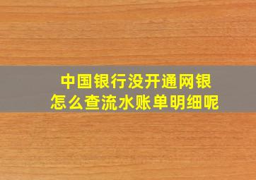 中国银行没开通网银怎么查流水账单明细呢