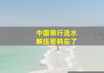 中国银行流水解压密码忘了