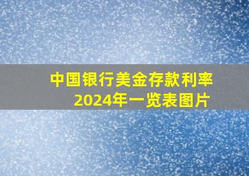 中国银行美金存款利率2024年一览表图片