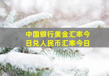 中国银行美金汇率今日兑人民币汇率今日