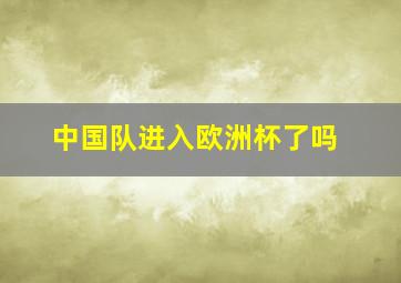 中国队进入欧洲杯了吗