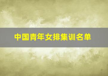 中国青年女排集训名单