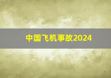 中国飞机事故2024