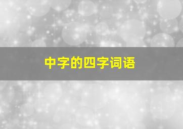 中字的四字词语