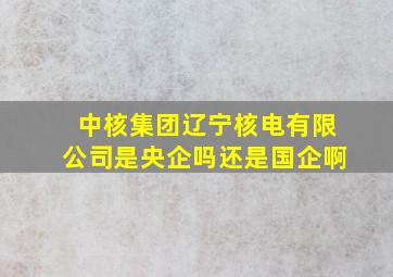 中核集团辽宁核电有限公司是央企吗还是国企啊