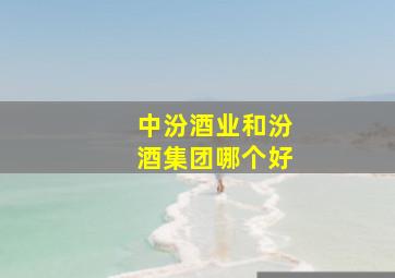 中汾酒业和汾酒集团哪个好