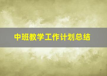 中班教学工作计划总结