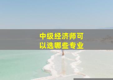 中级经济师可以选哪些专业