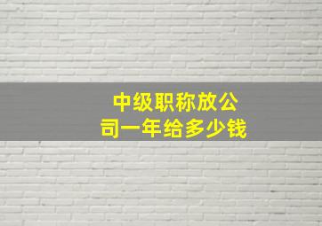 中级职称放公司一年给多少钱