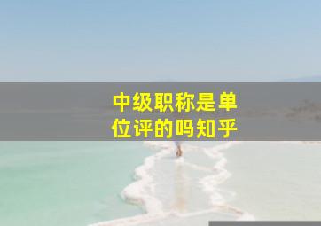 中级职称是单位评的吗知乎