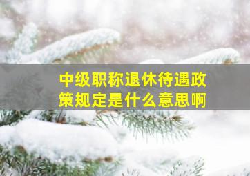 中级职称退休待遇政策规定是什么意思啊