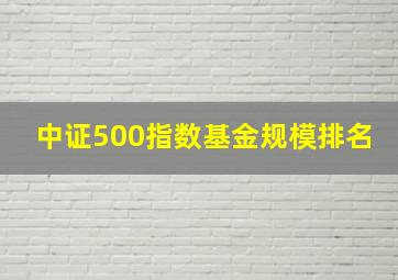 中证500指数基金规模排名