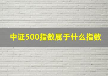 中证500指数属于什么指数