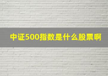 中证500指数是什么股票啊