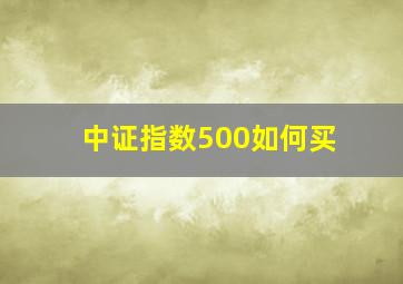 中证指数500如何买