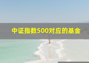 中证指数500对应的基金