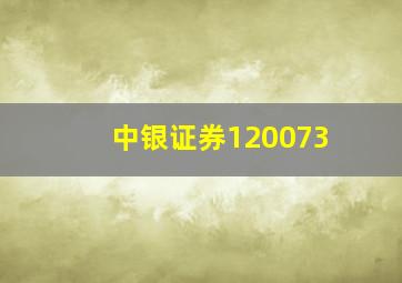 中银证券120073