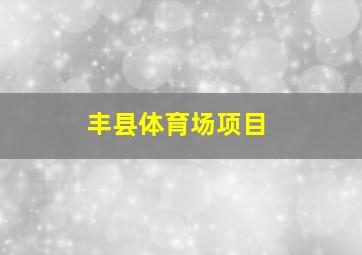 丰县体育场项目