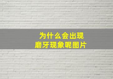 为什么会出现磨牙现象呢图片