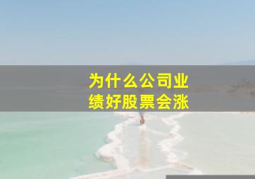 为什么公司业绩好股票会涨