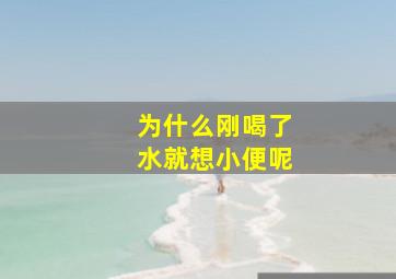 为什么刚喝了水就想小便呢