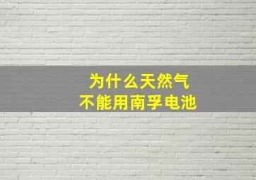 为什么天然气不能用南孚电池