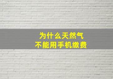 为什么天然气不能用手机缴费