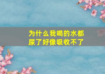 为什么我喝的水都尿了好像吸收不了