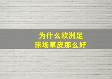 为什么欧洲足球场草皮那么好