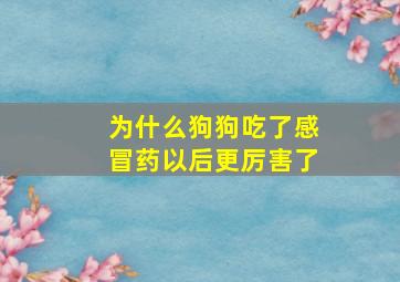 为什么狗狗吃了感冒药以后更厉害了