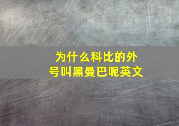 为什么科比的外号叫黑曼巴呢英文