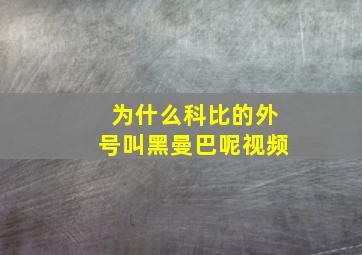 为什么科比的外号叫黑曼巴呢视频