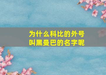 为什么科比的外号叫黑曼巴的名字呢