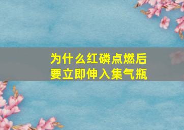 为什么红磷点燃后要立即伸入集气瓶