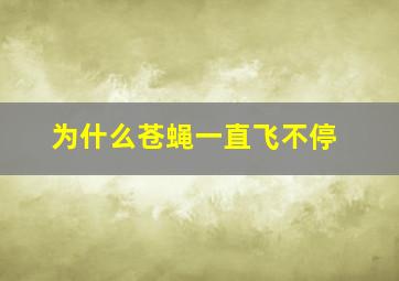 为什么苍蝇一直飞不停