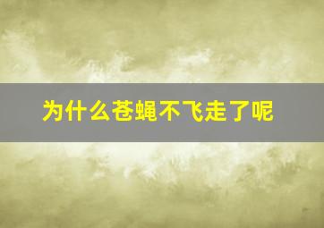 为什么苍蝇不飞走了呢