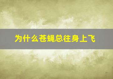 为什么苍蝇总往身上飞