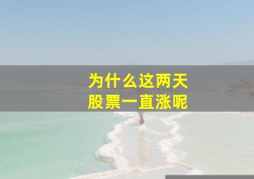 为什么这两天股票一直涨呢