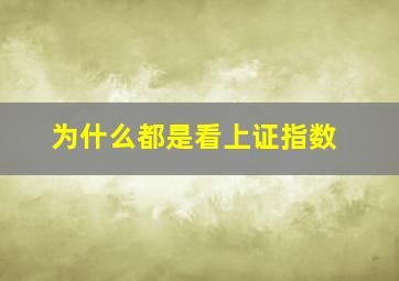 为什么都是看上证指数