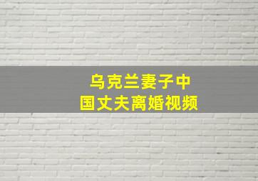 乌克兰妻子中国丈夫离婚视频