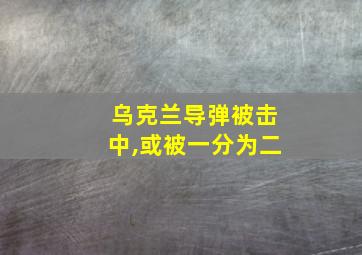 乌克兰导弹被击中,或被一分为二